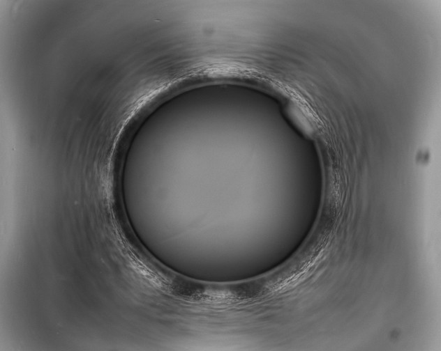 X0000100980391200806241548