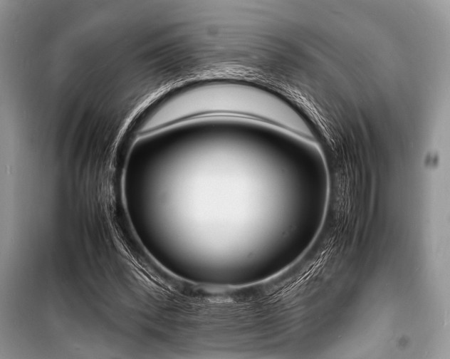 X0000100980392200806241548