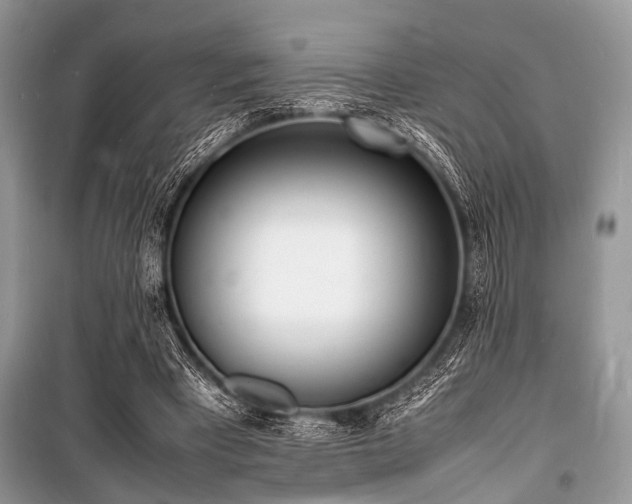 X0000100980393200806241548