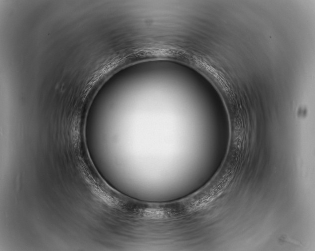 X0000100980394200806241548