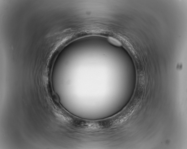 X0000100980395200806241548