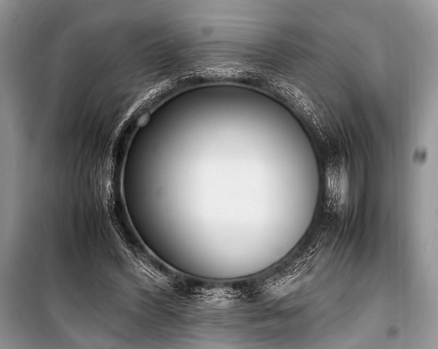 X0000100980396200806241548