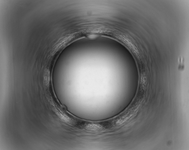 X0000100980397200806241548