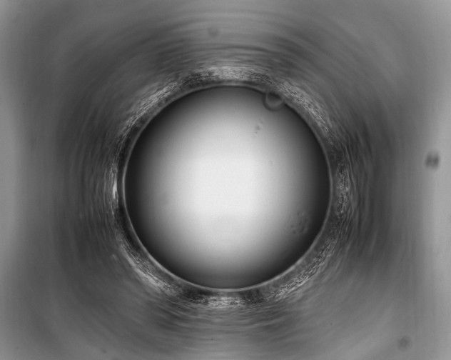 X0000100980398200806241548