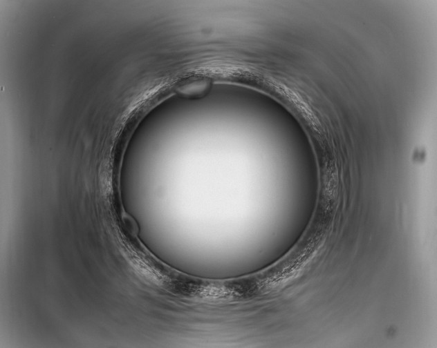 X0000100980399200806241548