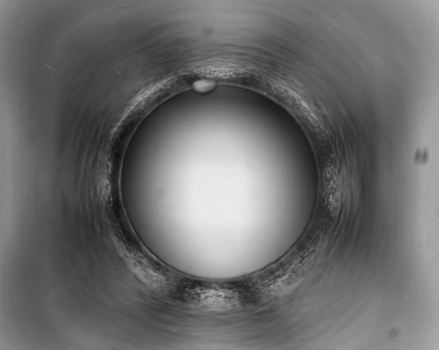 X0000100980400200806241548