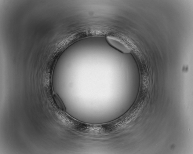 X0000100980401200806241548