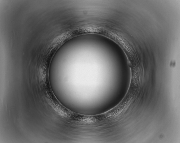 X0000100980402200806241548