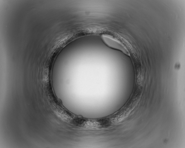 X0000100980403200806241548