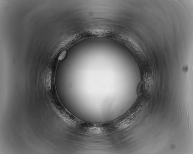 X0000100980404200806241548