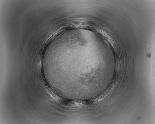 X0000100980405200806241548