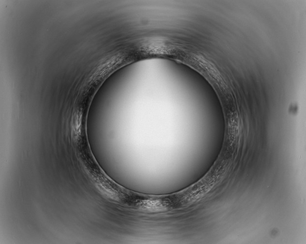 X0000100980406200806241548