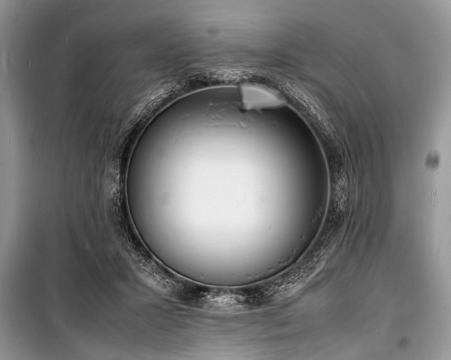 X0000100980407200806241548