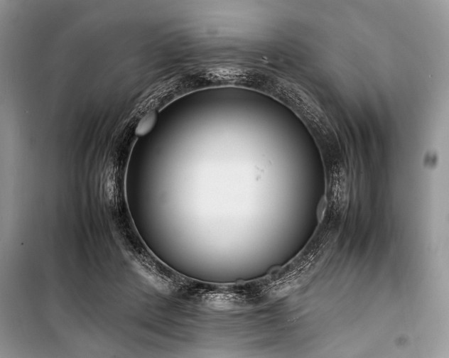 X0000100980408200806241548