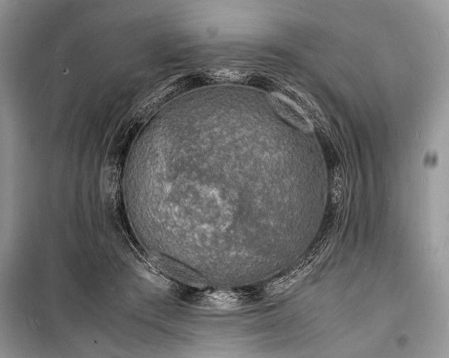 X0000100980409200806241548