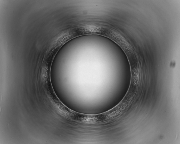 X0000100980410200806241548