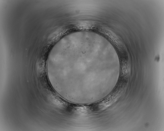 X0000100980411200806241548