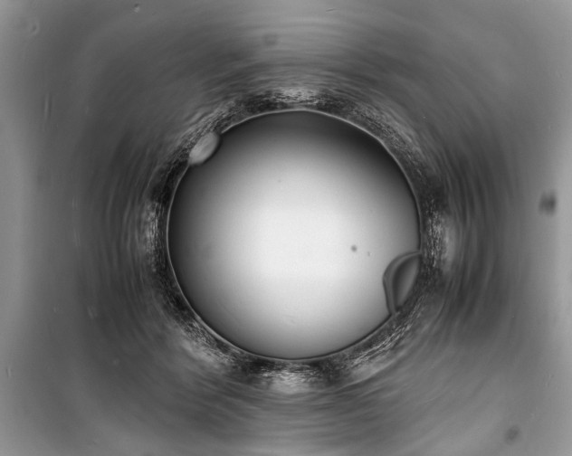 X0000100980412200806241548