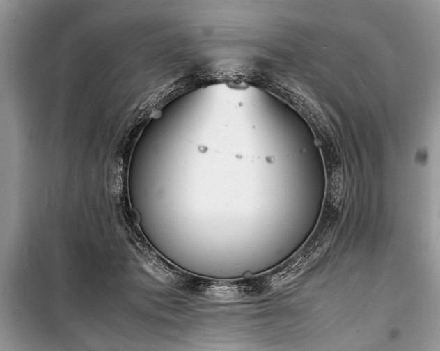 X0000100980413200806241548