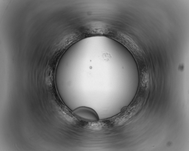 X0000100980414200806241548