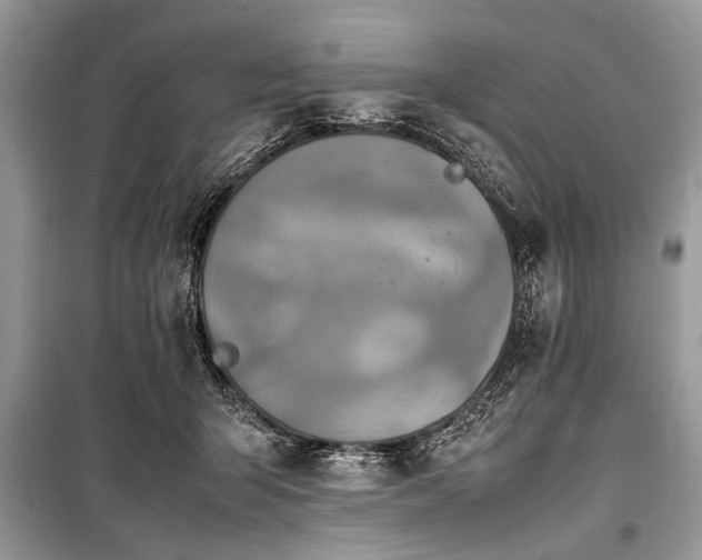 X0000100980415200806241548