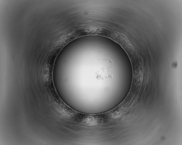 X0000100980416200806241548