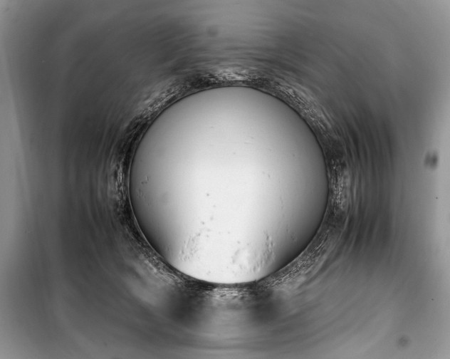 X0000100980418200806241548