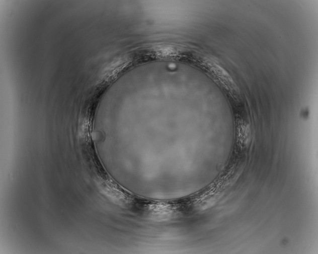 X0000100980419200806241548