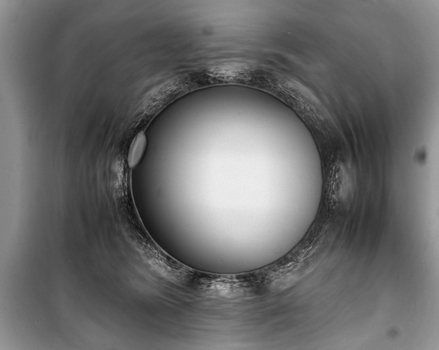 X0000100980420200806241548