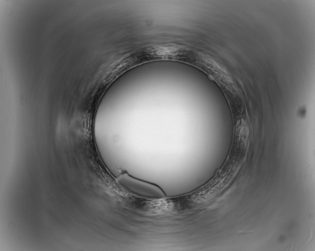 X0000100980421200806241548