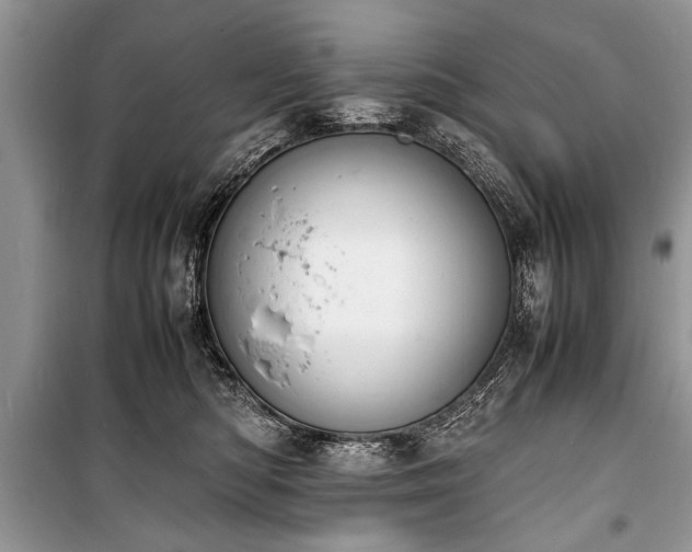 X0000100980422200806241548