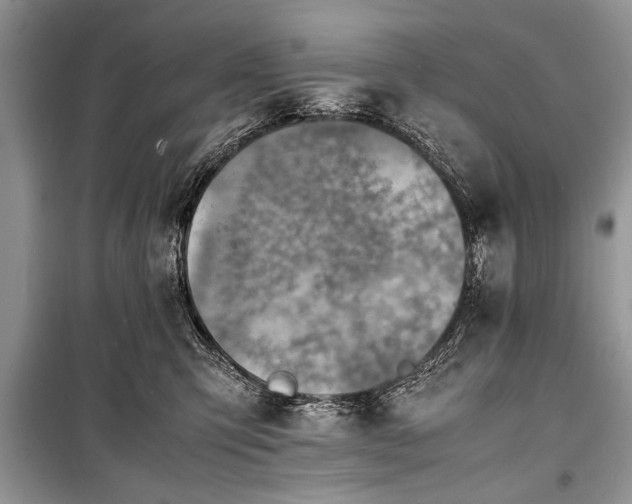 X0000100980423200806241548