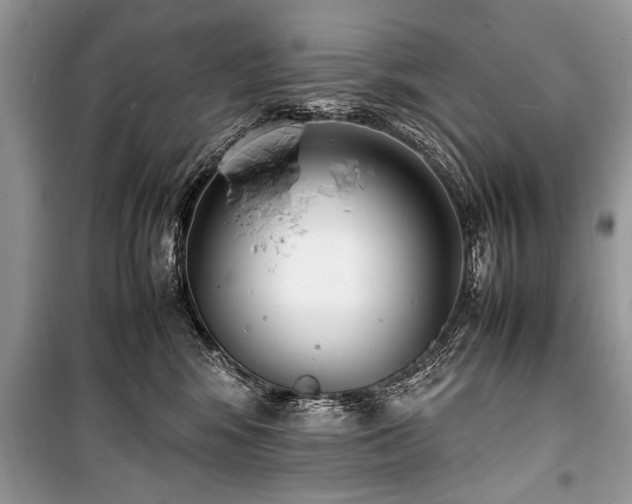 X0000100980424200806241548