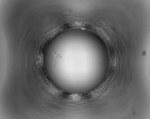 X0000100980425200806241548