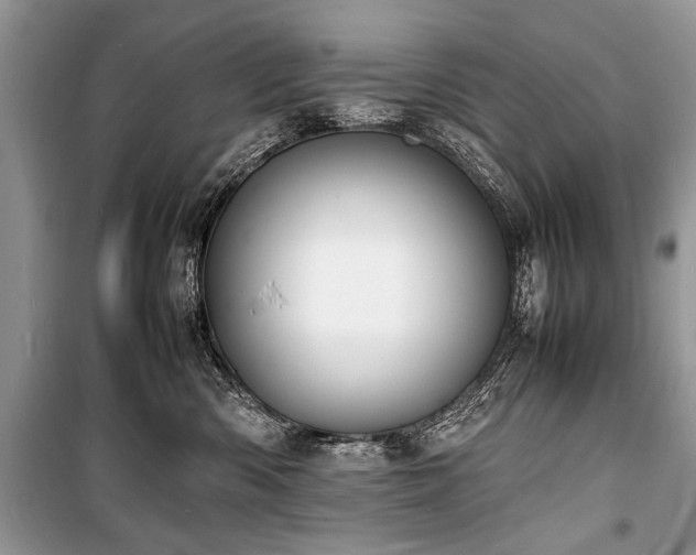 X0000100980426200806241548