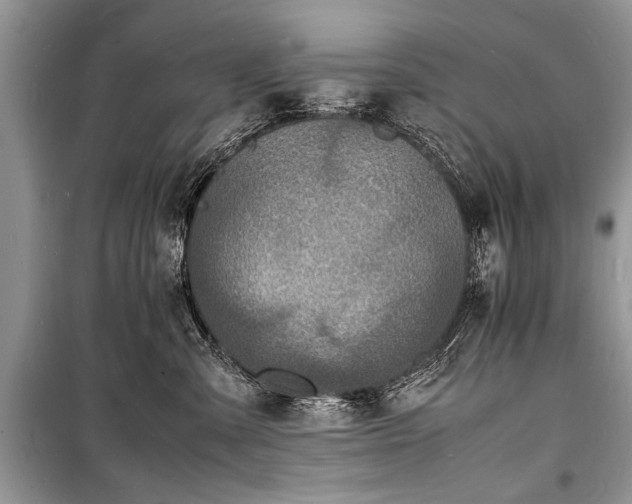 X0000100980427200806241548