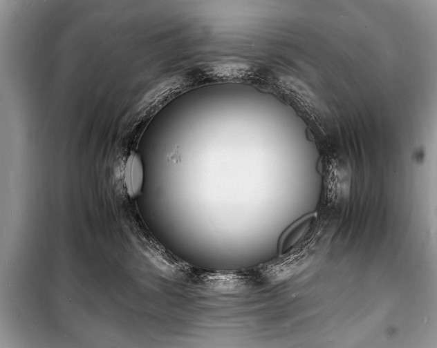 X0000100980428200806241548