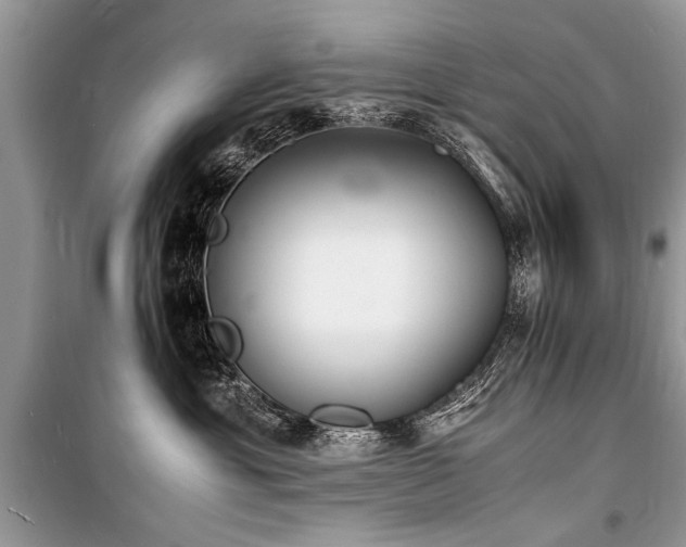 X0000100980429200806241548