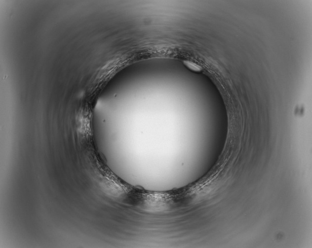 X0000100980432200806241547