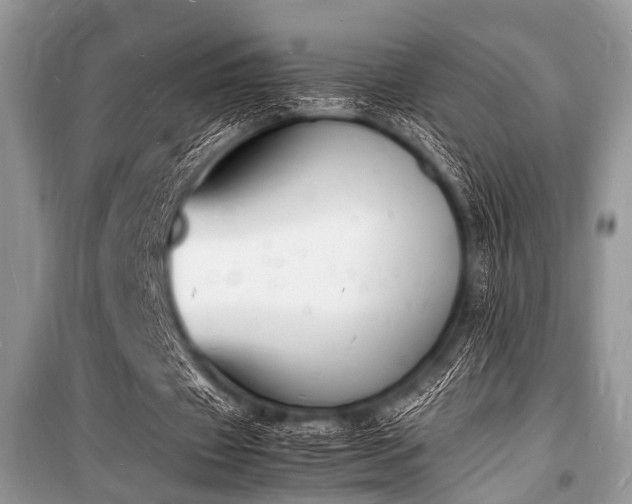 X0000100980433200806241547