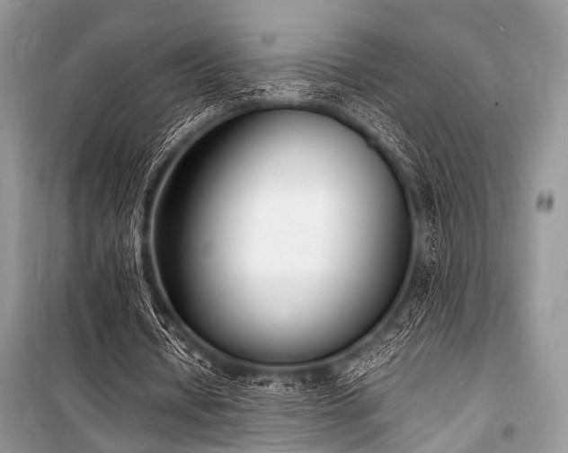 X0000100980434200806241547