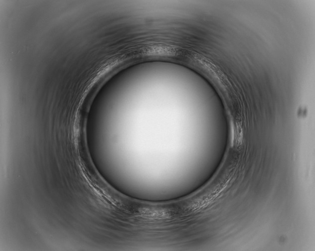 X0000100980435200806241547