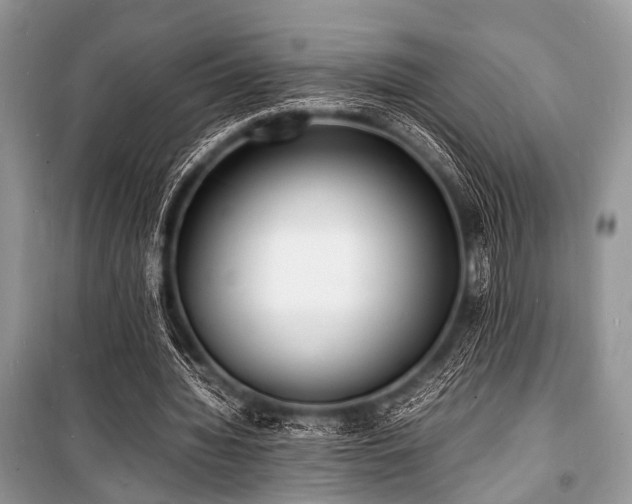 X0000100980436200806241547