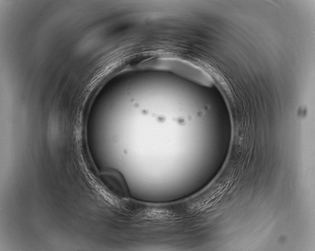 X0000100980437200806241547