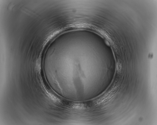 X0000100980438200806241547