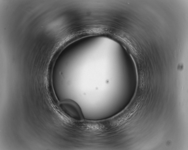 X0000100980439200806241547