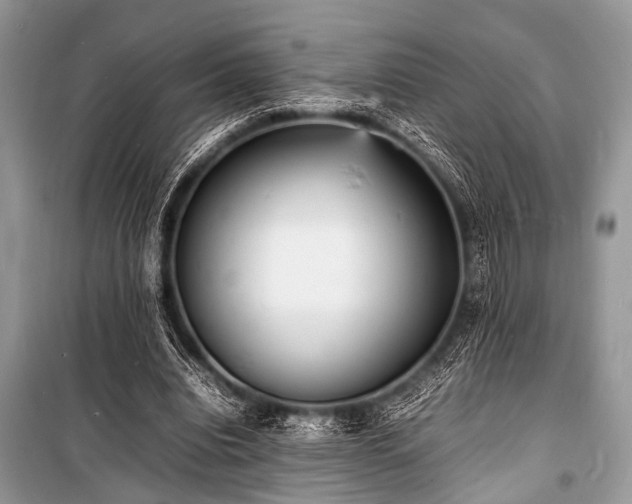 X0000100980440200806241547