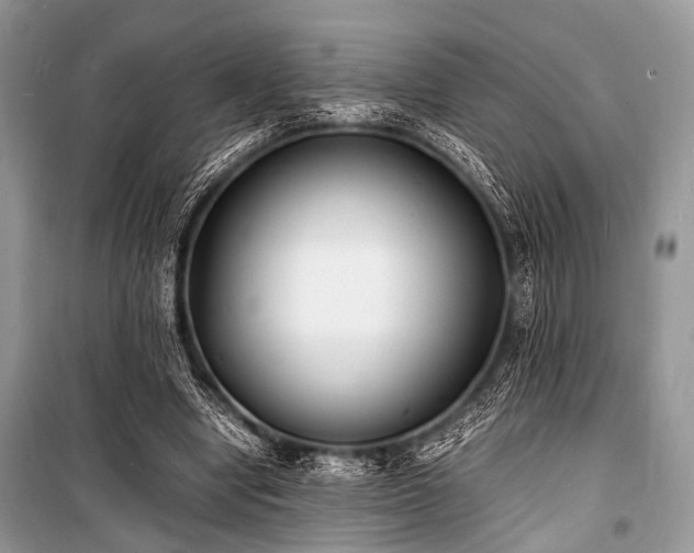 X0000100980442200806241547