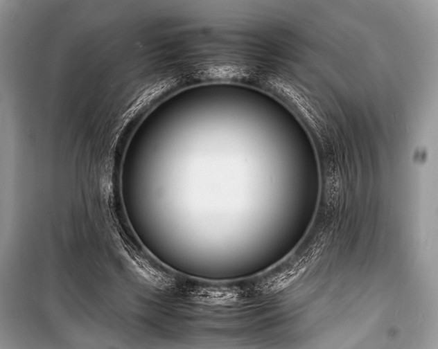 X0000100980443200806241547