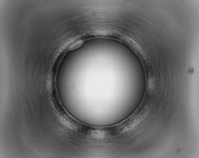 X0000100980444200806241547